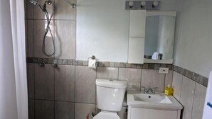 Un baño con ducha, inodoro, lavabo y espejo.