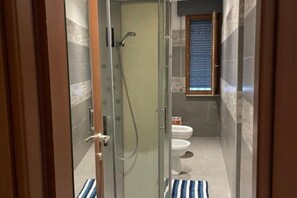 Shower, hair dryer, bidet, towels