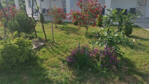 Un jardín con diversas plantas y flores, un pérgola y un edificio blanco con múltiples ventanas y balcones al fondo.