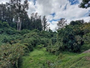 Miscellaneous - Casa de Piedra (Quito)