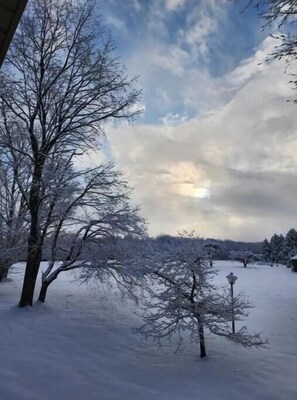 Eine verschneite Landschaft mit kahlen Bäumen und einem bewölkten Himmel.