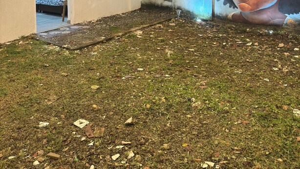 An outdoor area with a mural, a small garden, and a building entrance. - POSADA MISS ANIBEL  (San Andrés)