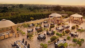 Un área de comedor al aire libre con mesas y sillas, rodeada de plantas en macetas y sombrillas.