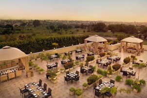 Un área de comedor al aire libre con mesas y sillas, rodeada de plantas en macetas y sombrillas.