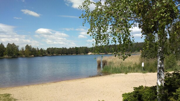 Hiekkainen ranta, jonka äärellä on tyyni järvi, ja rantaa ympäröivät puut ja tiheä kasvillisuus.