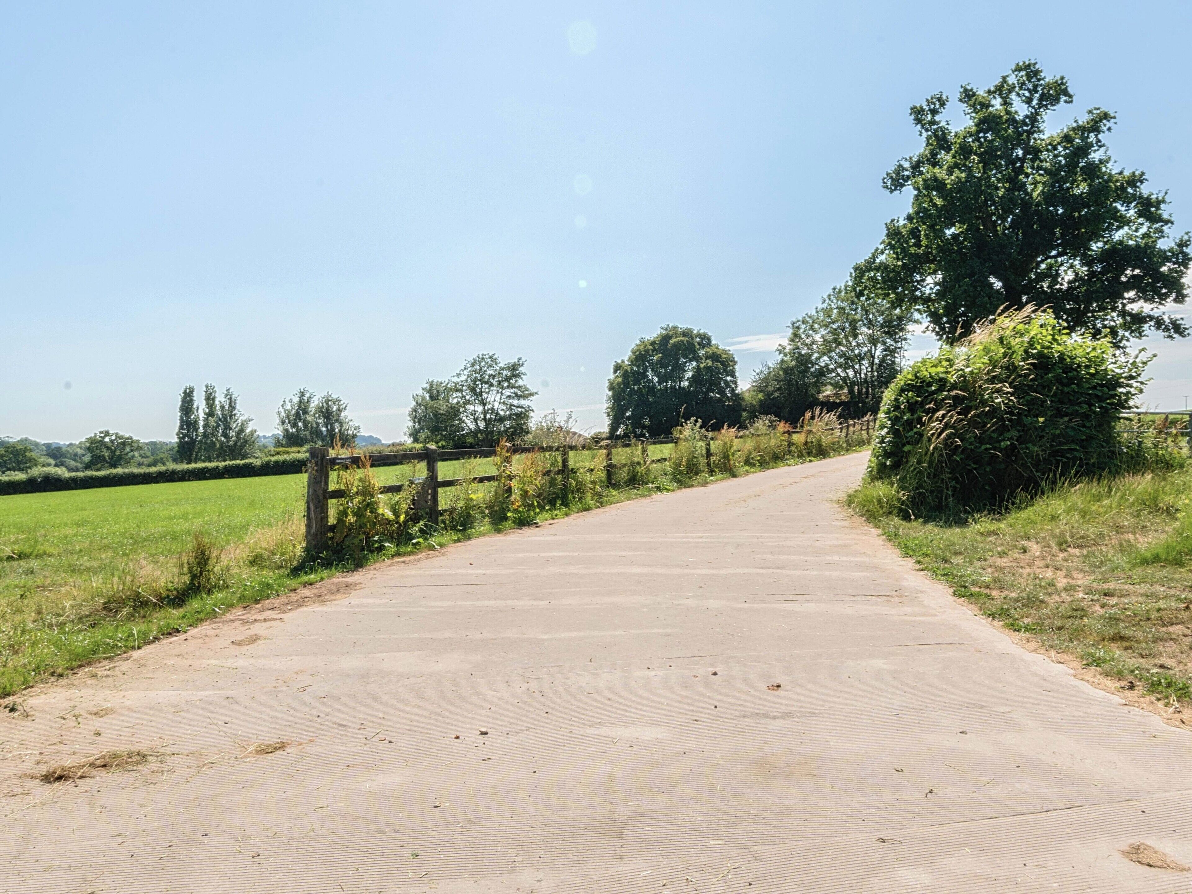 A rural road flanked by greenery and a wooden fence.