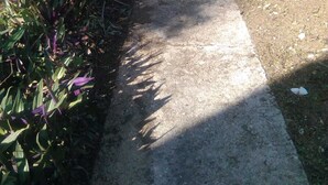 A concrete pathway leading to a gated entrance with a metal gate. - Spacious 2-bed House in Carriacou (Hillsborough)
