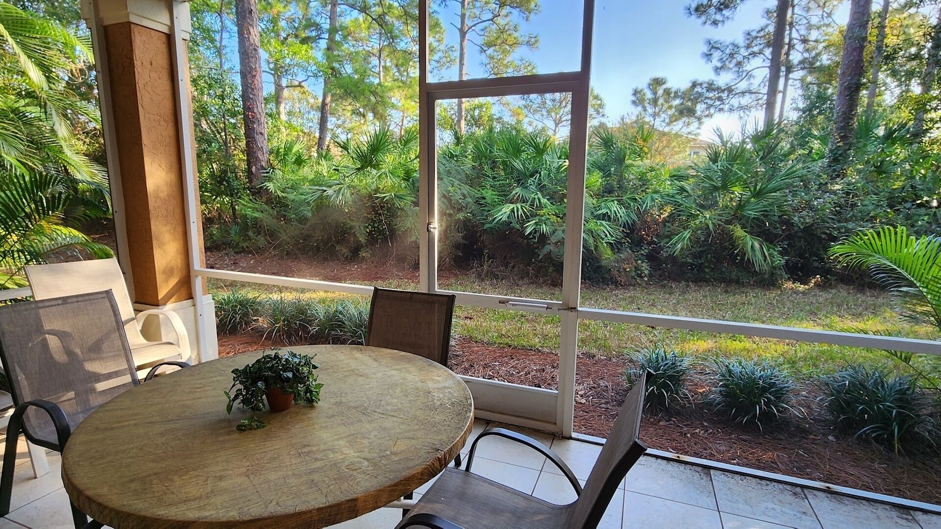 A round wooden table with chairs, a potted plant, and a view of a forested area through large windows.