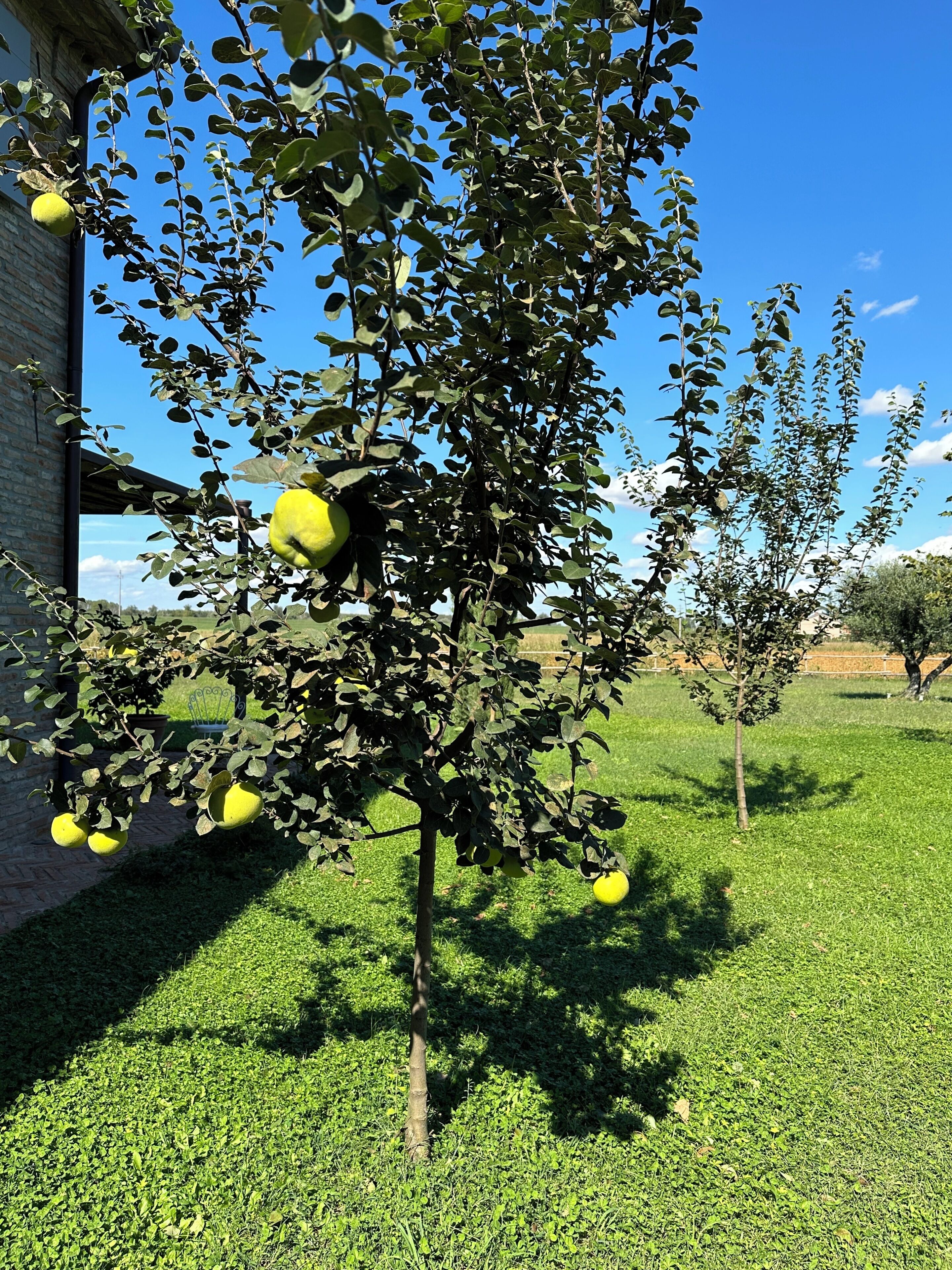 Foto - Casaforte La Bastide