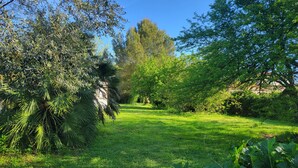 Een weelderige tuin met verschillende bomen en planten, een helder pad en een gebouw op de achtergrond.