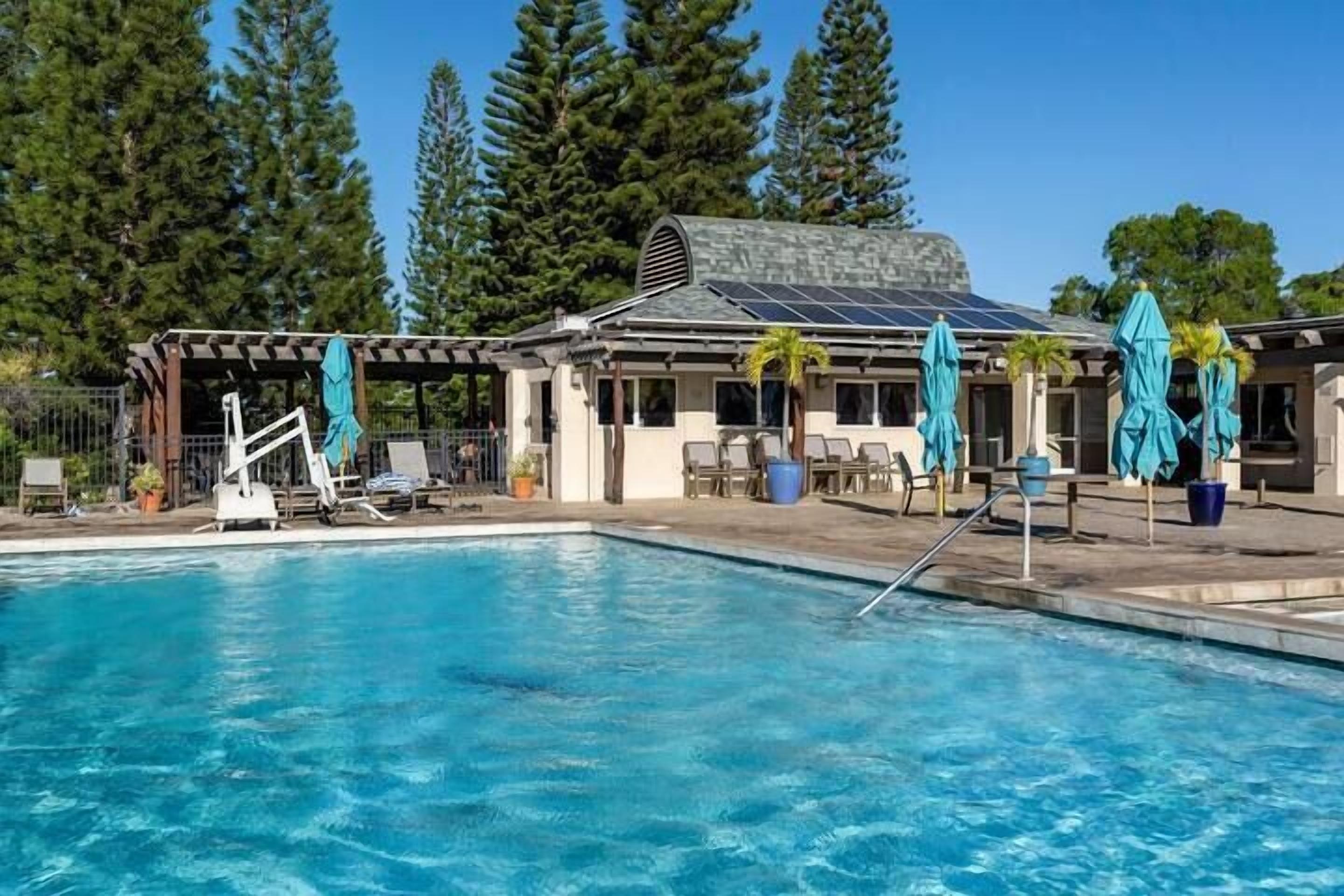 Une piscine entourée d’arbres, avec des chaises longues et des parasols, et un bâtiment doté d’un toit en pente.