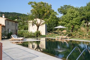 Una piscina con sillas de descanso y una terraza de madera.
