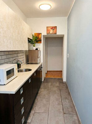 Full-sized fridge, microwave, oven, stovetop - Big 3BR shared Apt. Perfect location (Vienna)