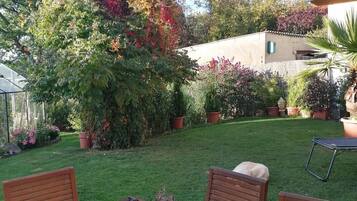 Una mesa de madera con sillas en un jardín con diversas plantas en macetas y un árbol grande de hojas rojas.