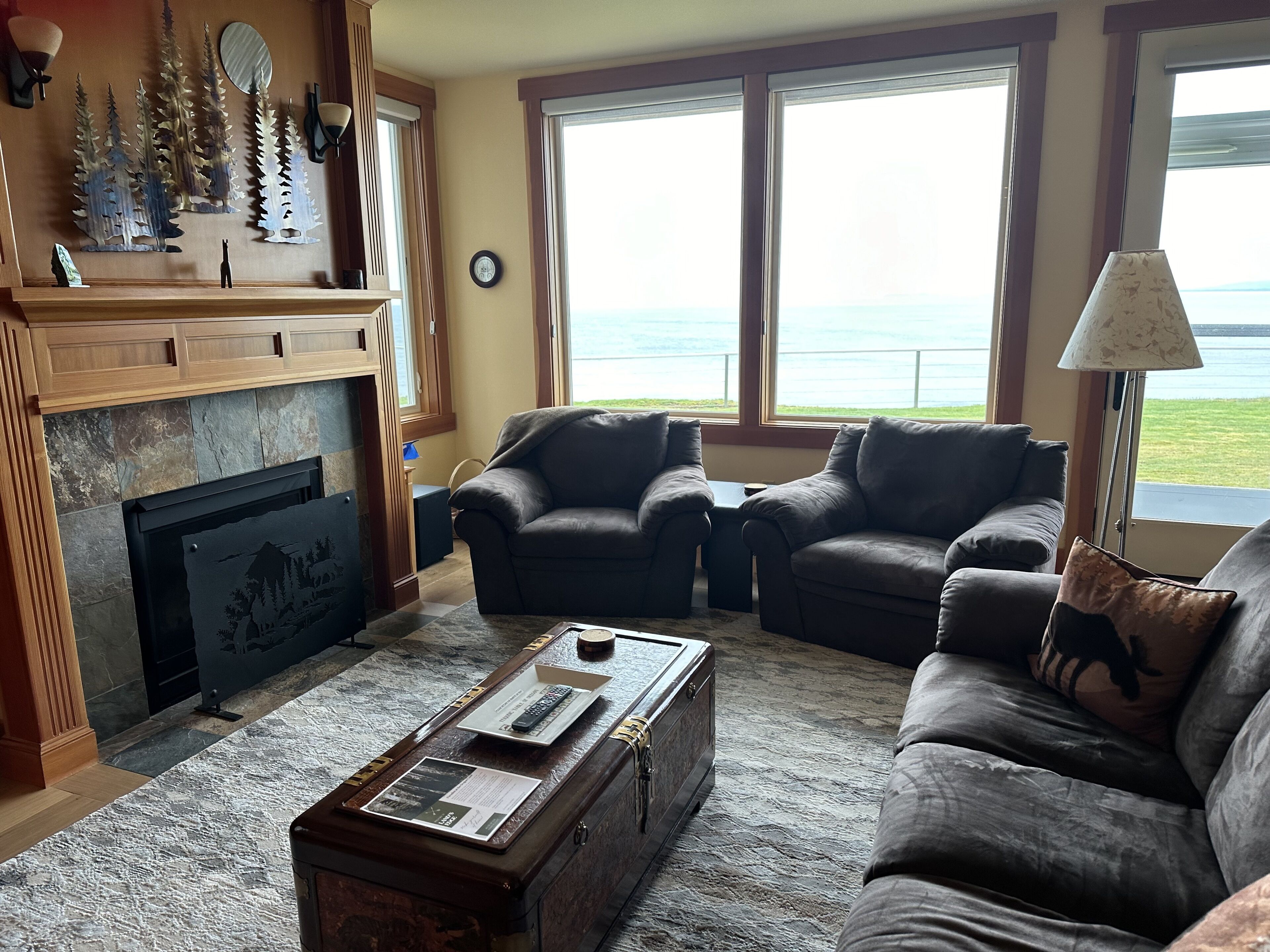 Smart TV, fireplace, DVD player, books