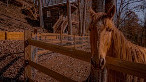 A wooden fence with a horse behind it.