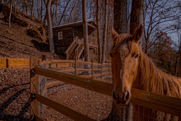 Property grounds - Glamping Cabin | Huge Window | Unique Boulder Views (Green Township)