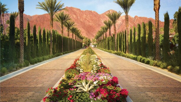 A paved pathway flanked by palm trees and cypress trees, leading towards a building with a mountain backdrop. - The PERFECT Desert Getaway / La Quinta Resort (La Quinta)