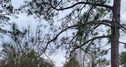 Entire House
Country Corner