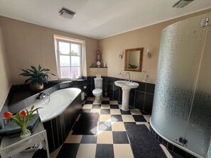 Hair dryer, towels, soap, toilet paper - Spacious apartment over 2 floors in a central location with castle view, wallbox (Saarburg)