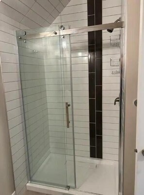 Shower, hair dryer, towels, toilet paper