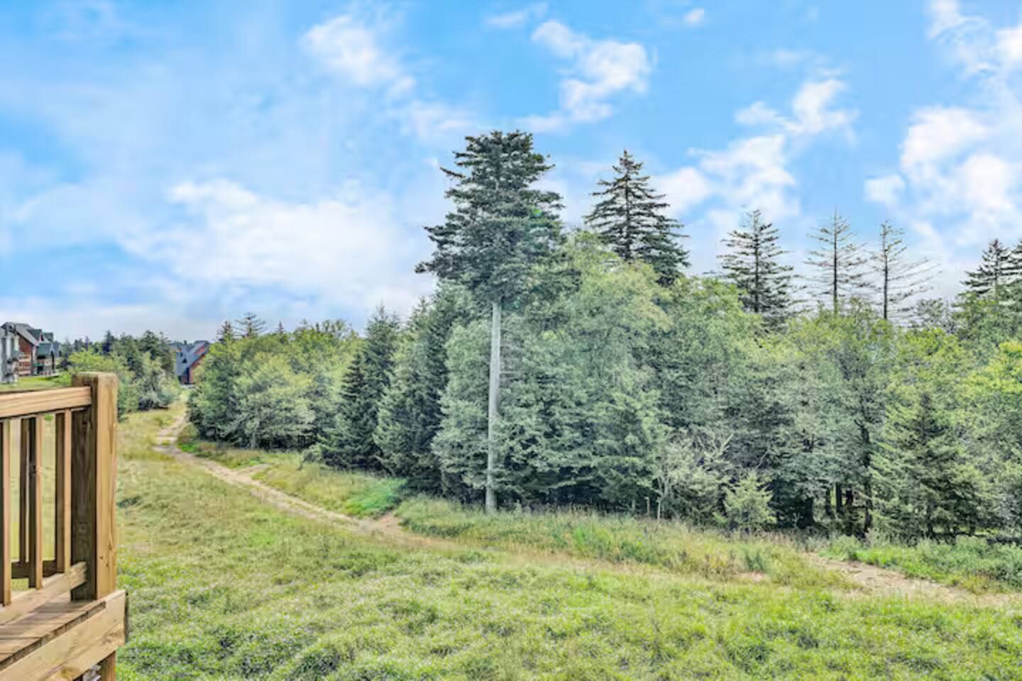 A wooden deck leading to a grassy area with dense coniferous trees and a clear sky.