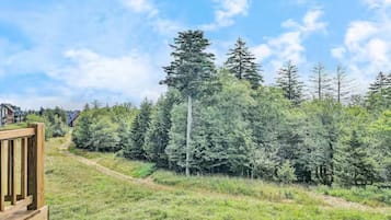 A wooden deck leading to a grassy area with dense coniferous trees and a clear sky.