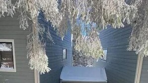 A snow-covered pathway leading to a building with a porch and a door. - 8 Powderidge, Snowshoe, WV - Slopeside Sanctuary (Snowshoe)