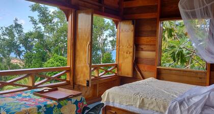 Ecolodge on 25 acre estate, 2 beaches, wide variety of fruit and flowers.