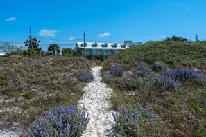 House, Multiple Beds (Sunnyside on the Gulf #3) | Exterior - Sunnyside on the Gulf #3 (Panama City Beach)