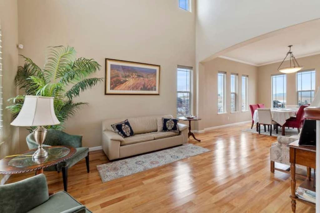 TV, fireplace, DVD player, books