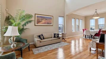 TV, fireplace, DVD player, books