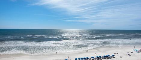 Condo, 1 King Bed with Sofa bed (Celadon 703) | Beach | On the beach