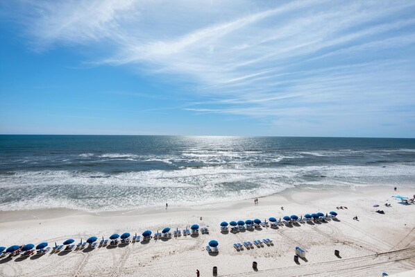 Condo, 1 King Bed with Sofa bed (Celadon 703) | Beach | On the beach - Celadon 703 (Panama City Beach)