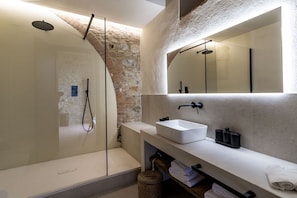 Shower, hair dryer, bidet, towels