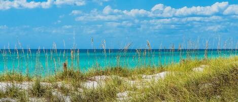 Condo, Multiple Beds (Calypso 2-1502 West) | Beach | On the beach