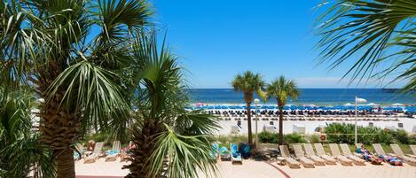 Appart'hôtel, 1 très grand lit et 1 canapé-lit (Calypso 1-203 East) | Piscine