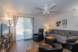 Smart TV, fireplace, books, music library