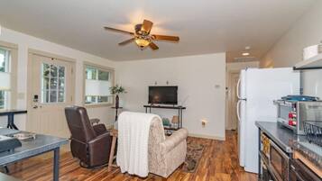 Smart TV, fireplace, books, music library