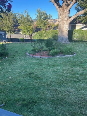 Une cour bien entretenue, avec une pelouse verdoyante, un grand arbre, un parterre de fleurs et une haie.
