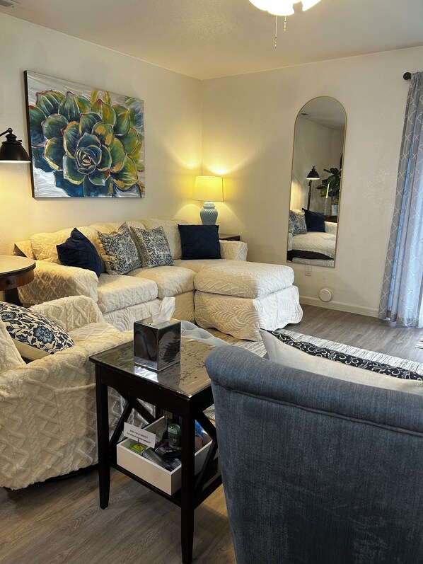 Smart TV, fireplace, books, music library