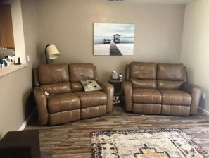 Smart TV, fireplace, books, music library