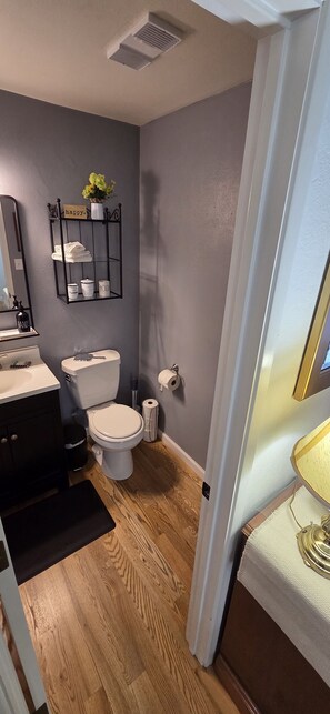 Hårføner, håndklær, såpe og sjampo