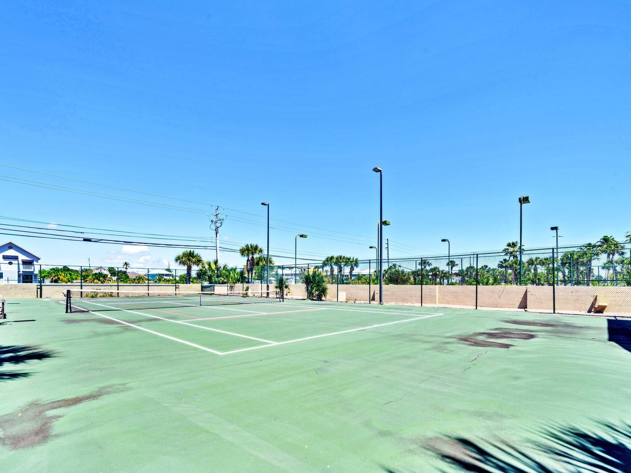 Un court de tennis avec un filet, entouré d’une clôture et de palmiers.