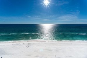 Beach - Shores of Panama 1401 (Panama City Beach)