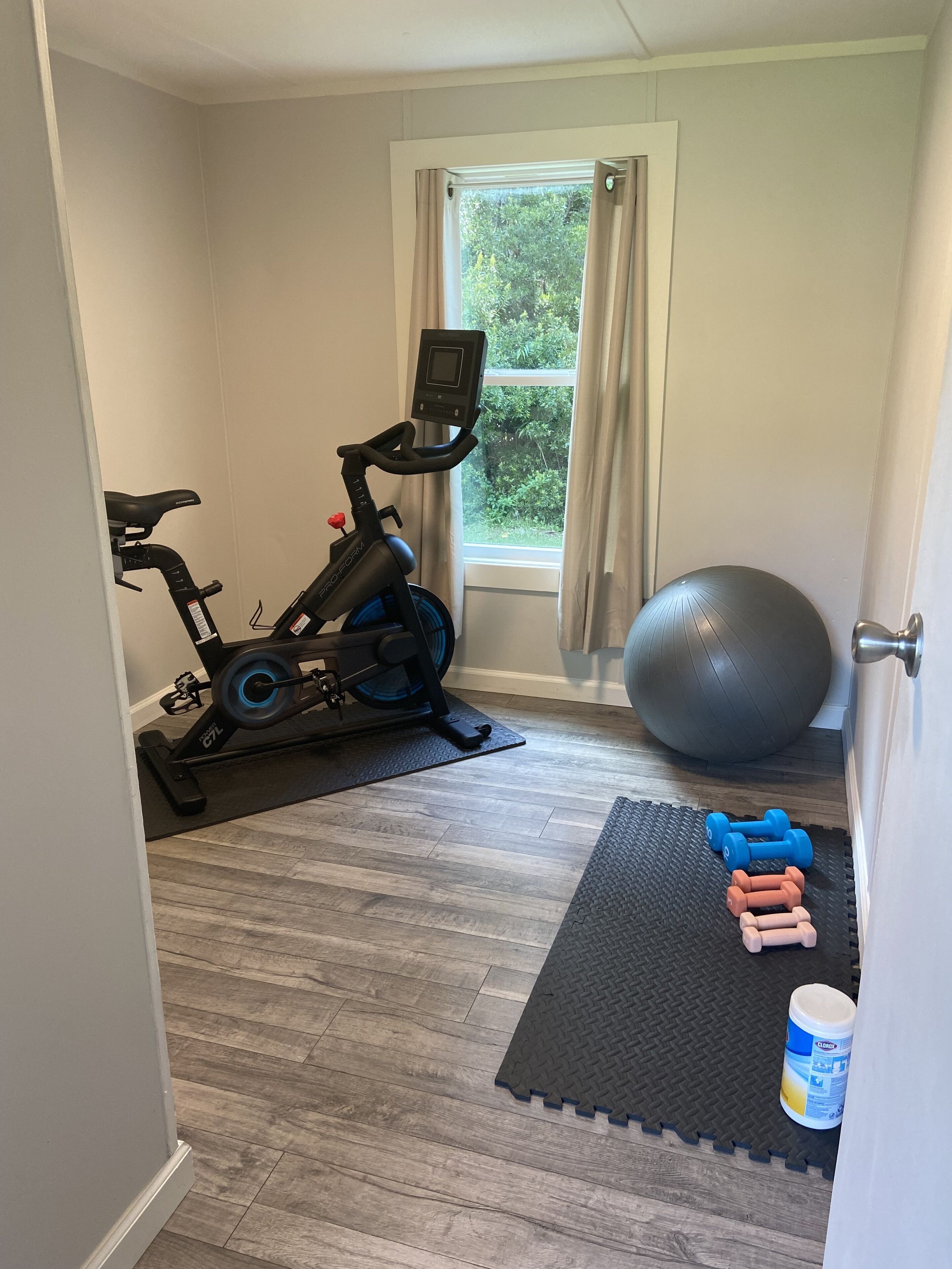 A home gym with an exercise bike, a large exercise ball, and dumbbells on a mat.