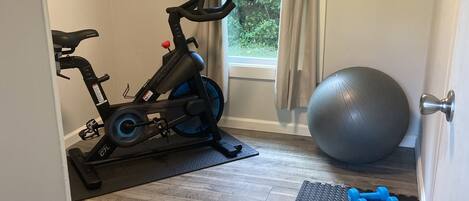 A home gym with an exercise bike, a large exercise ball, and dumbbells on a mat.
