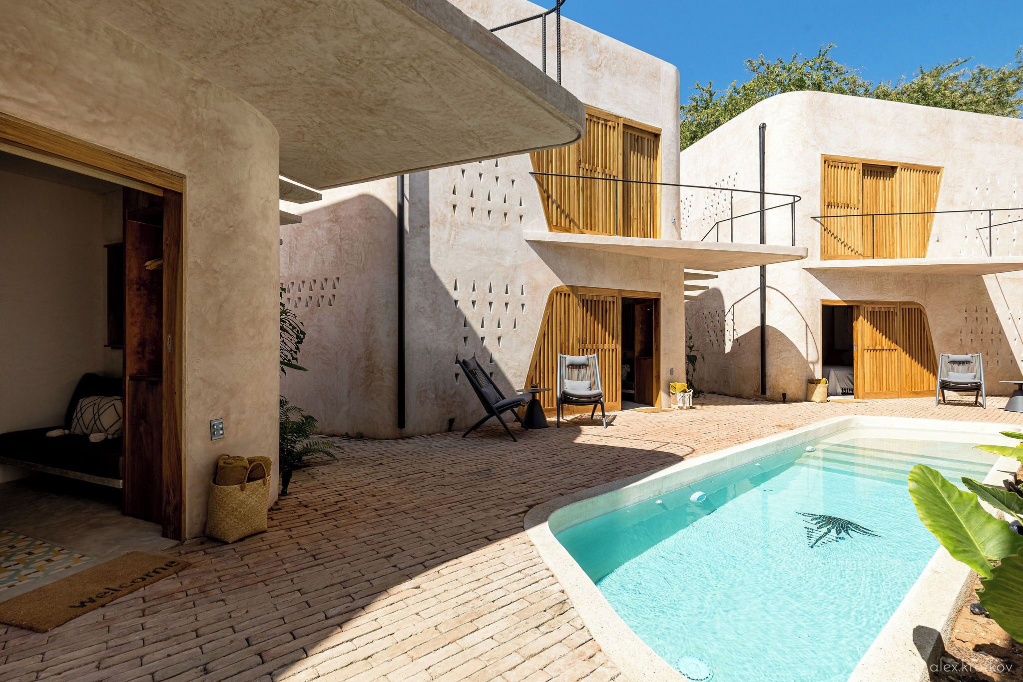 Photo - Quiote Quiote