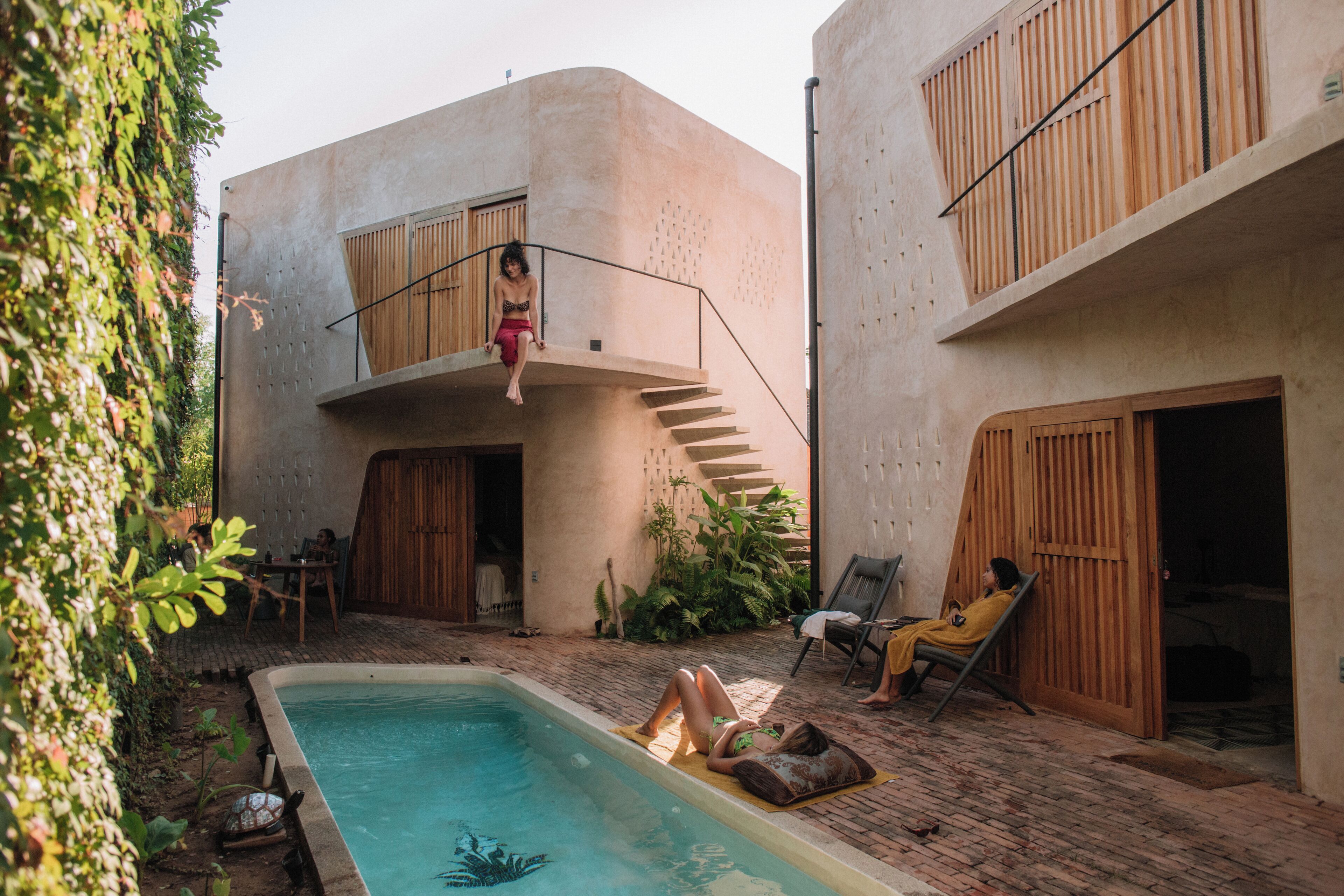 Photo - Quiote Quiote