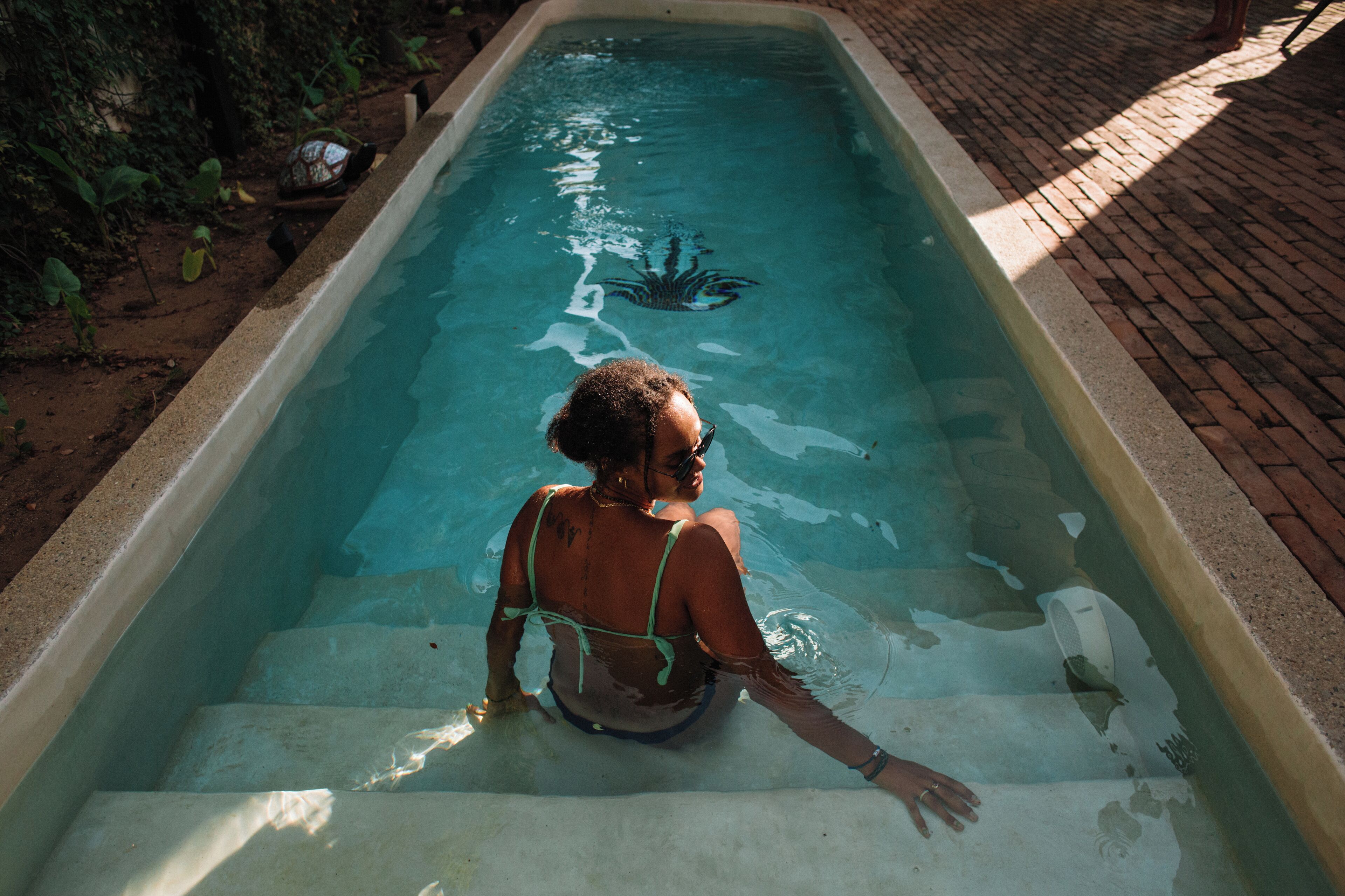 Photo - Quiote Quiote